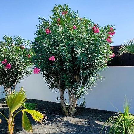 Villa Fedelian 2 Playa Blanca ภายนอก รูปภาพ