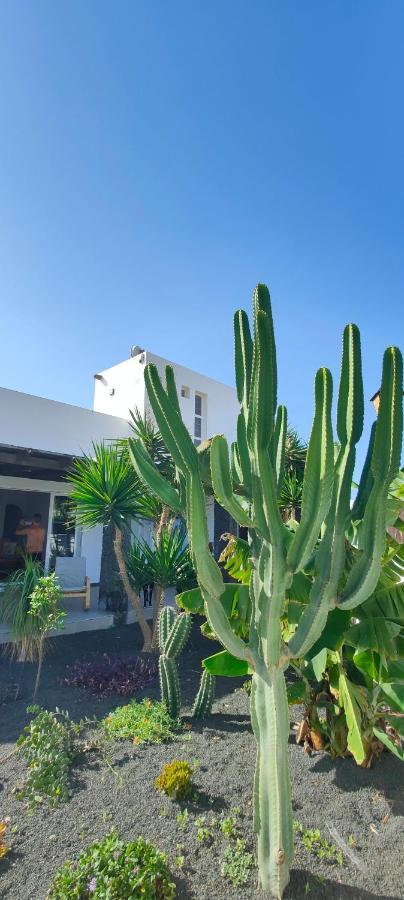 Villa Fedelian 2 Playa Blanca ภายนอก รูปภาพ