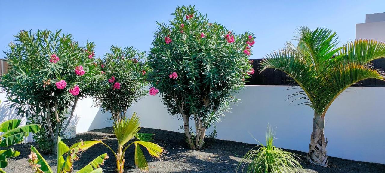 Villa Fedelian 2 Playa Blanca ภายนอก รูปภาพ